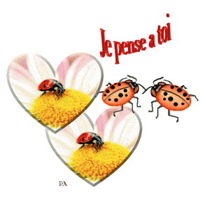 Gif animé je pense à toi coccinelle